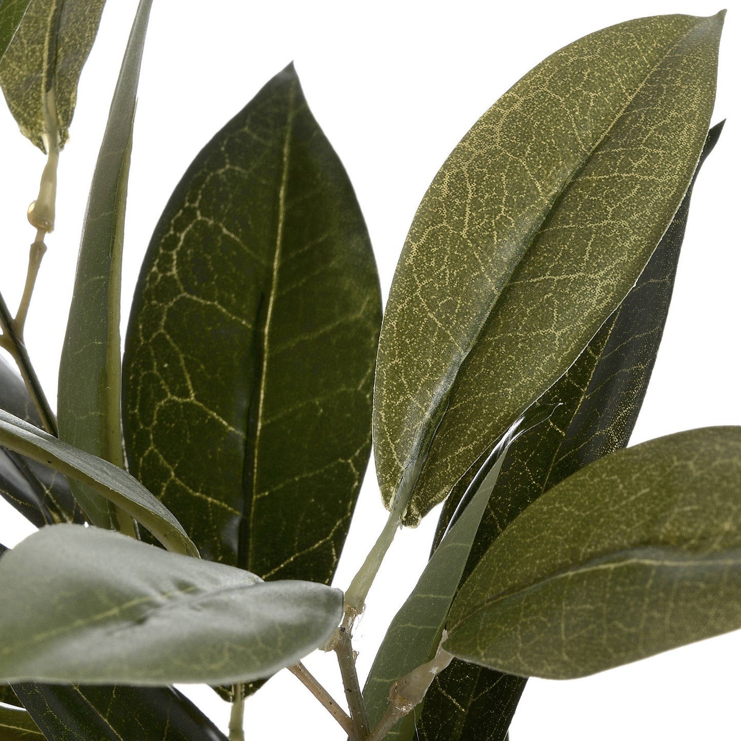 Skandi London Faux Bay Leaf Spray