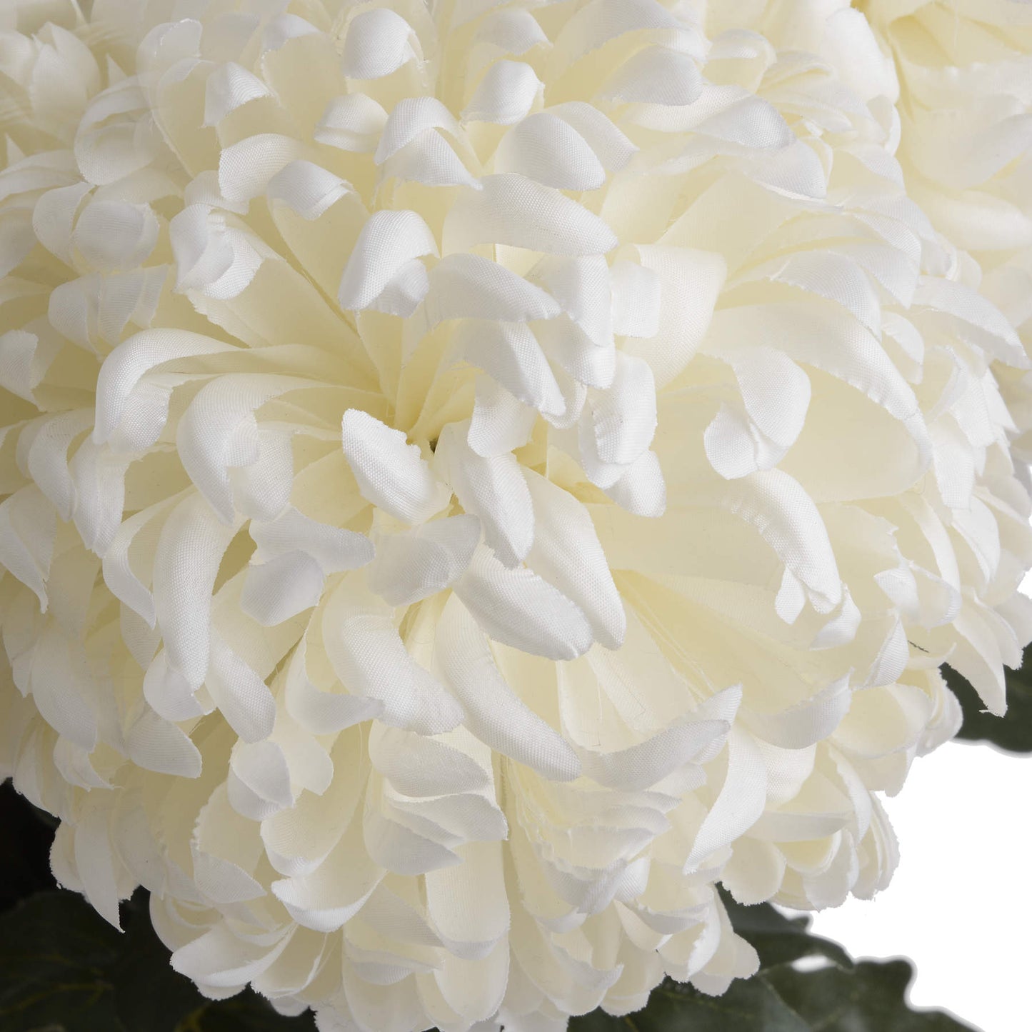 Skandi London Large White Chrysanthemum - Skandi London