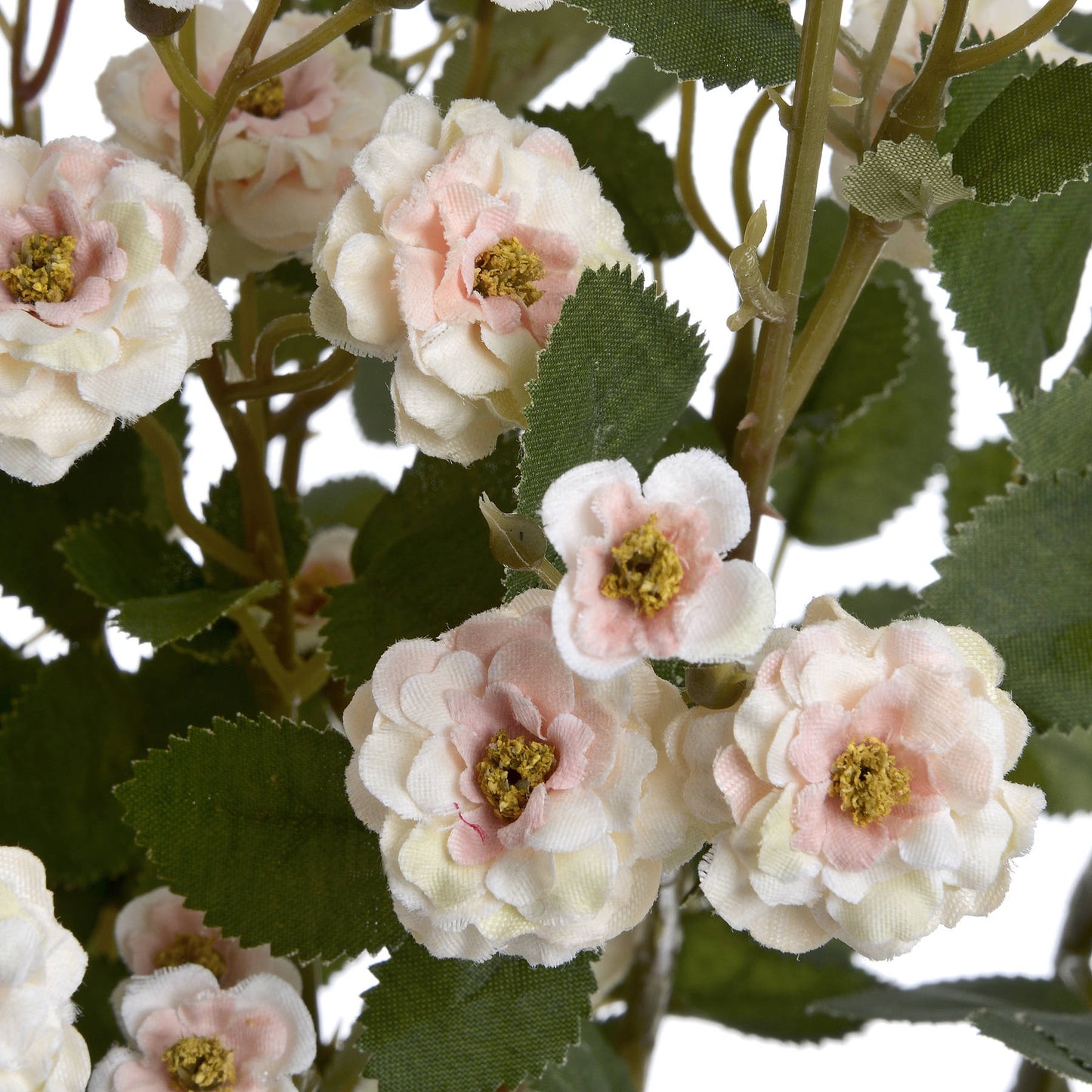 Skandi London Cream Wild Meadow Rose - Skandi London