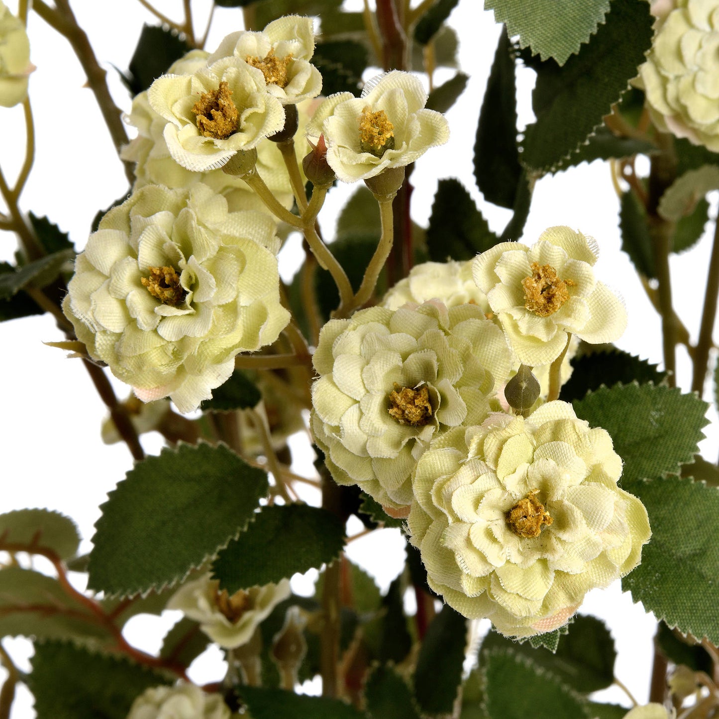 Skandi London Green Wild Meadow Rose - Skandi London