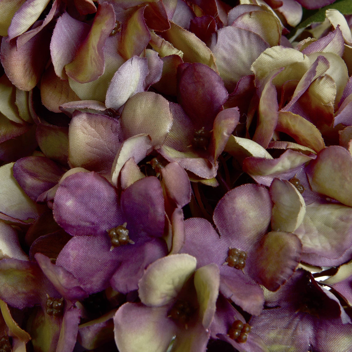 Skandi London Autumn Burgundy Hydrangea - Skandi London