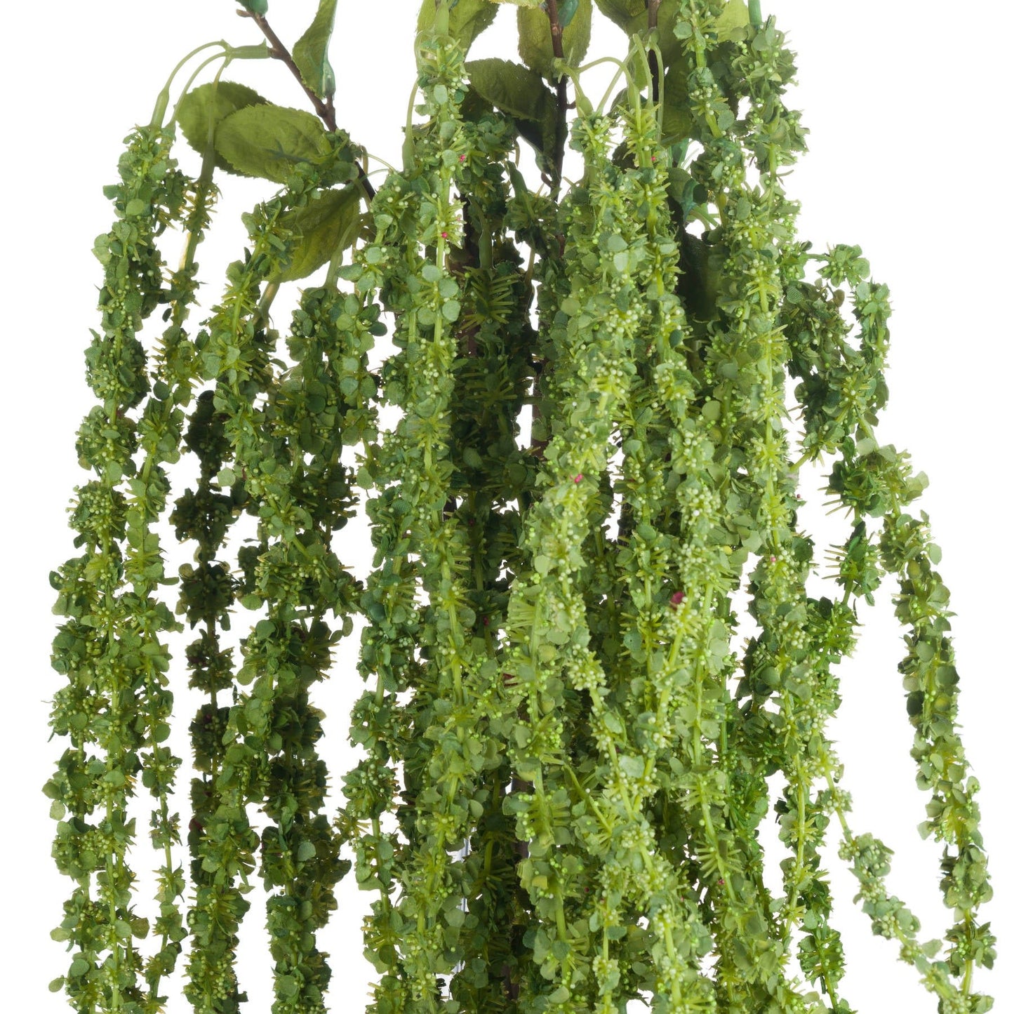 Skandi London Green Amaranthus - Skandi London