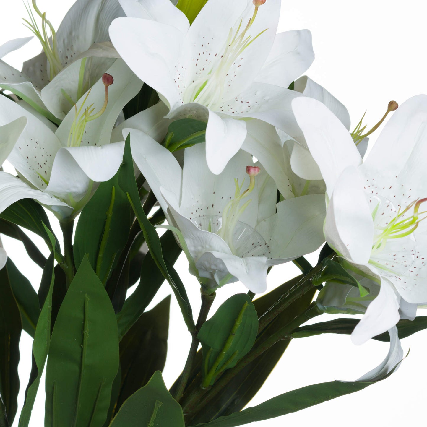 Skandi London White Lily - Skandi London