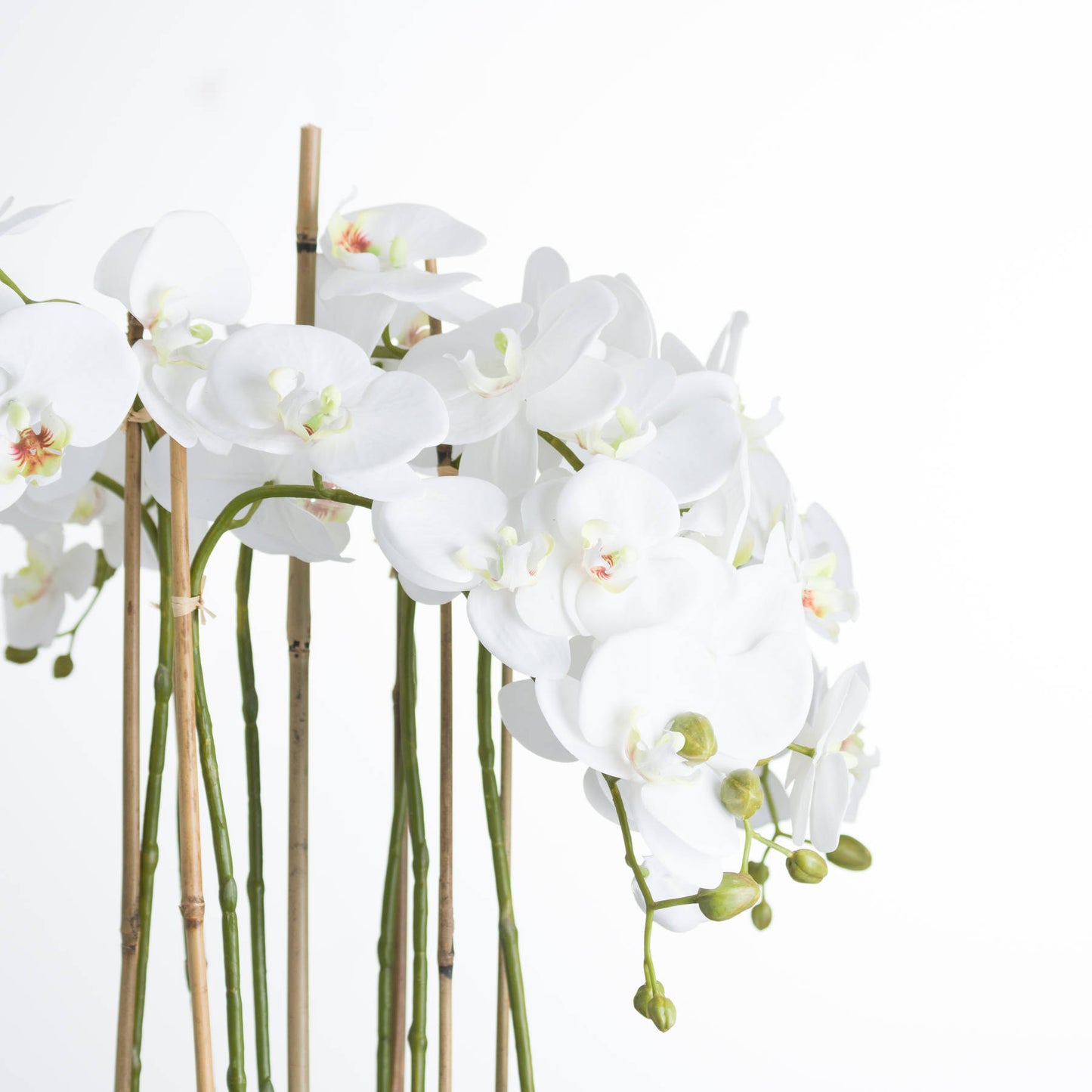 Skandi London Large White Orchid In Glass Pot - Skandi London