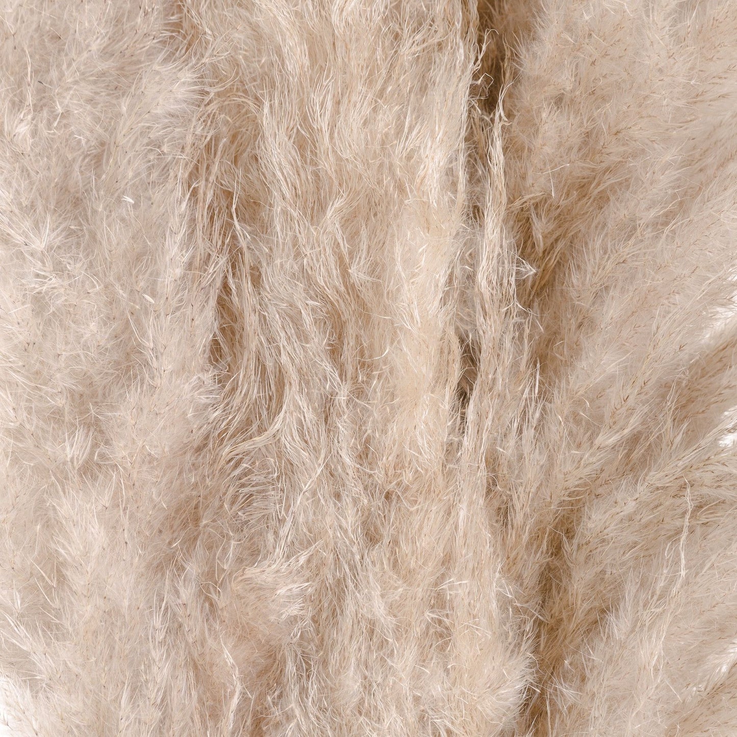 Skandi London Cream Pampas grass - Skandi London
