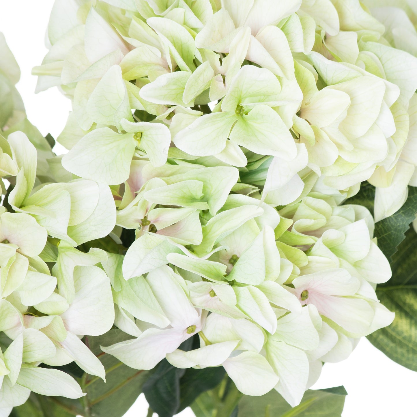 Skandi London Shabby Green Hydrangea Bouquet - Skandi London