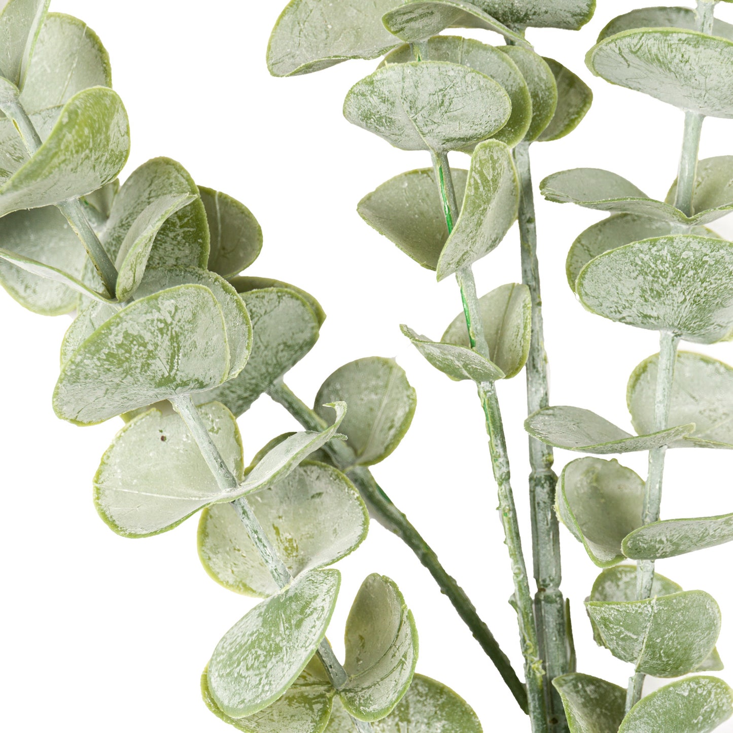 Skandi London Gunnii Eucalyptus Spray - Skandi London