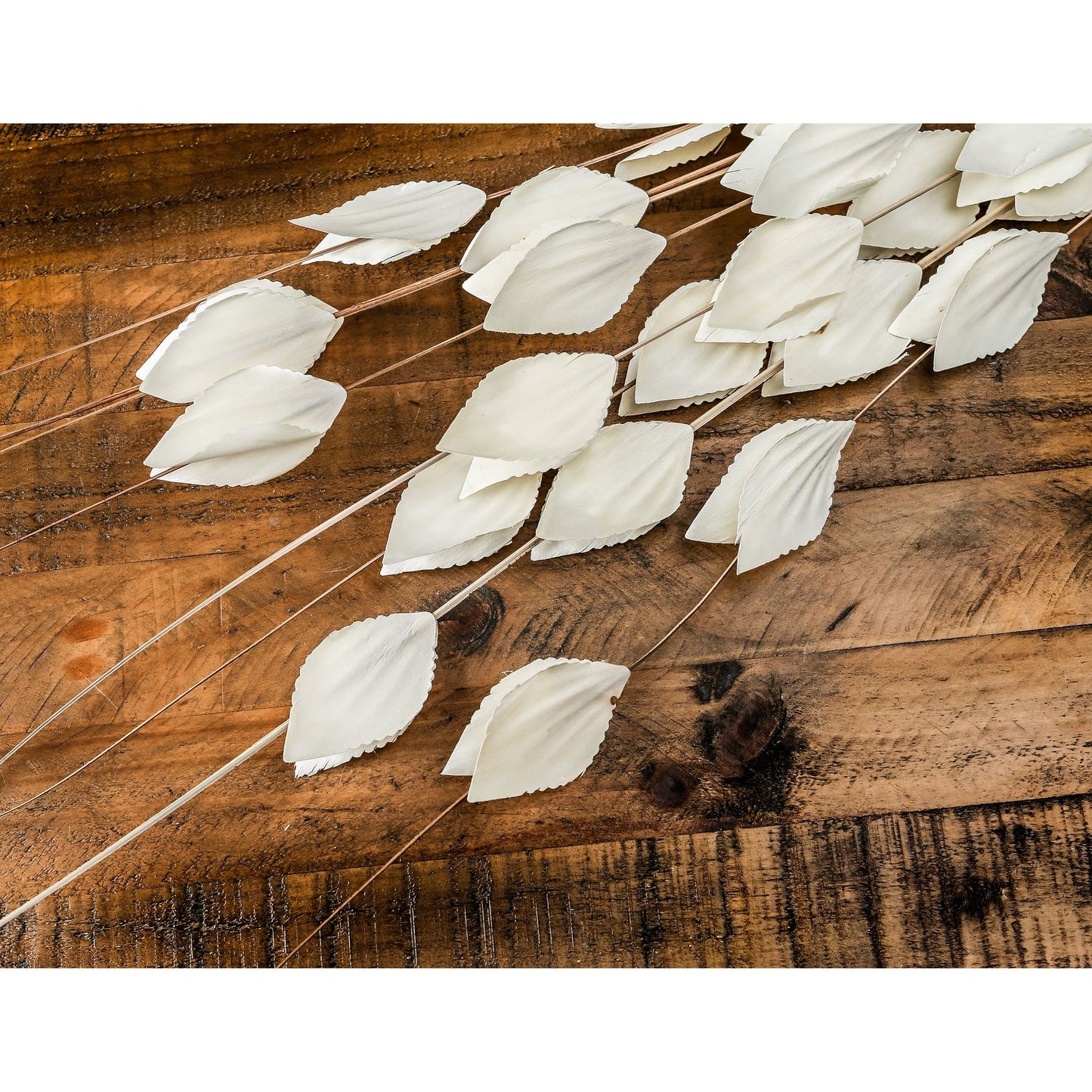 Skandi London Bouquet Of Dried Thlaspi Arvense - Skandi London