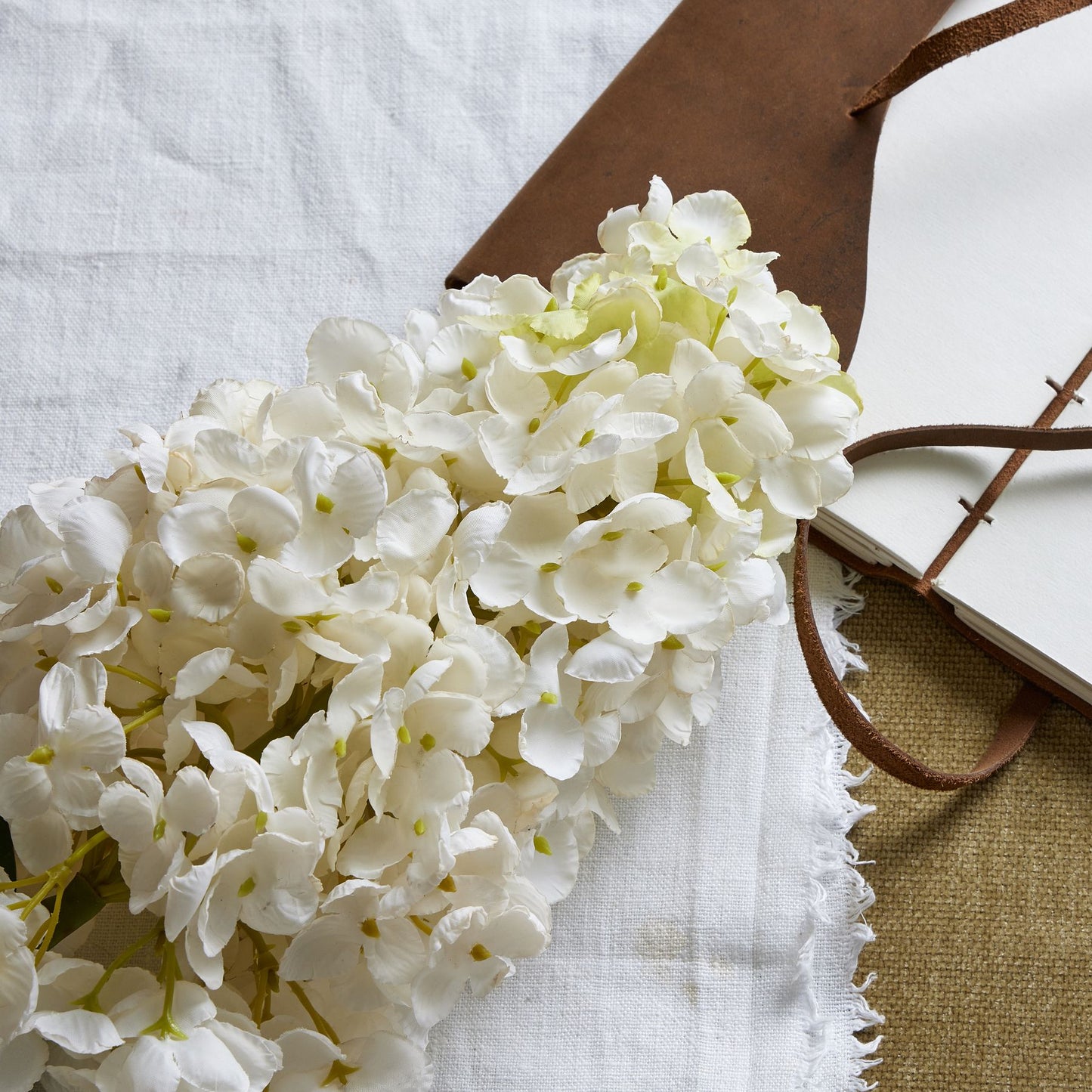 Skandi London White Spear Hydrangea - Skandi London