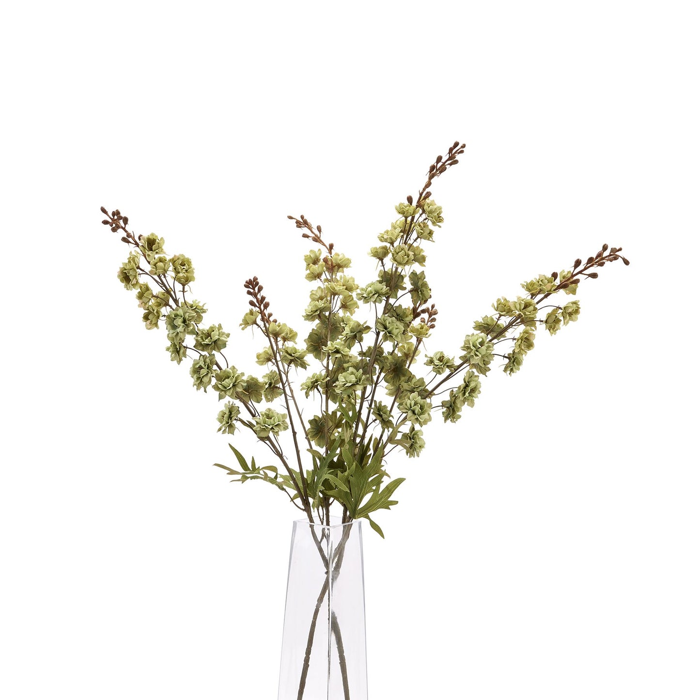 Skandi London Tall Green Hops Stem - Skandi London