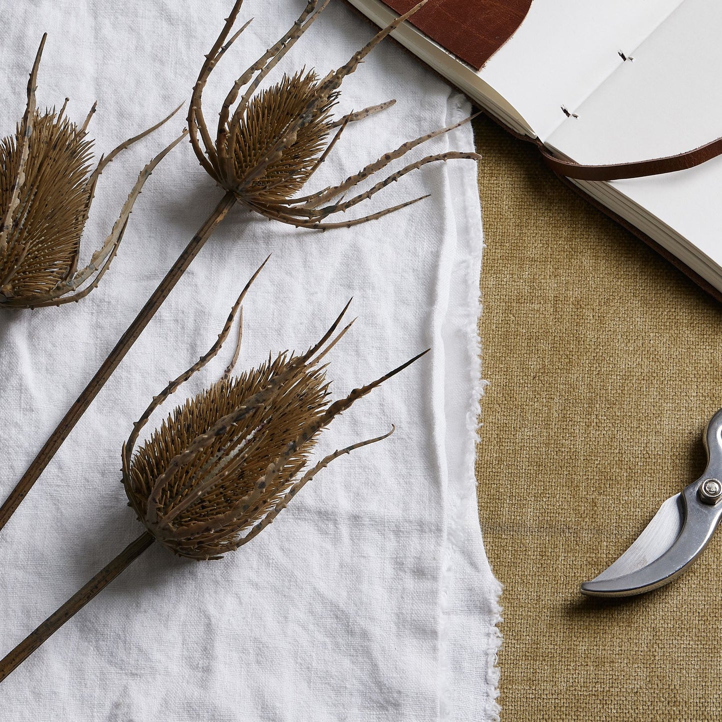 Skandi London Large Brown Triple Teasle Stem - Skandi London