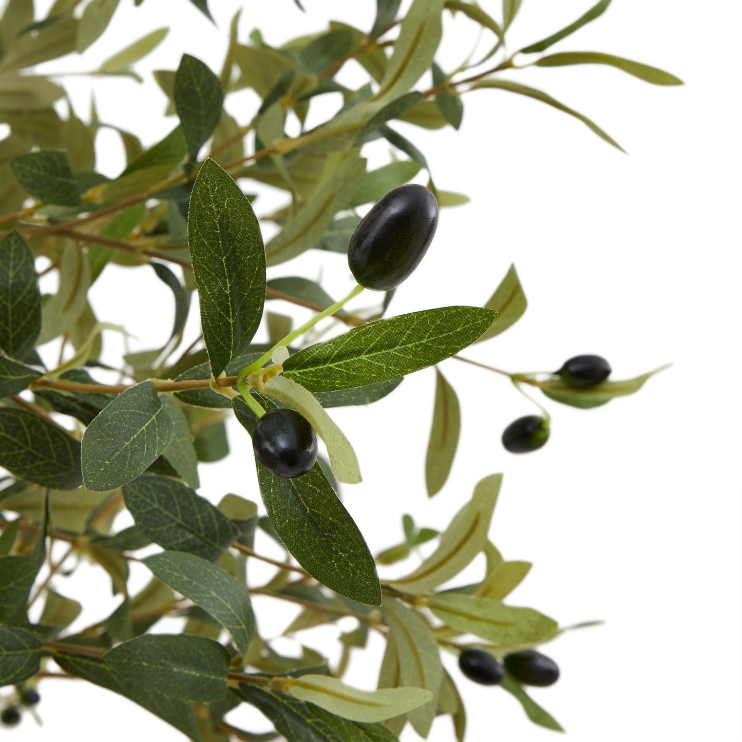 Hurum Small Olive Tree - Skandi London