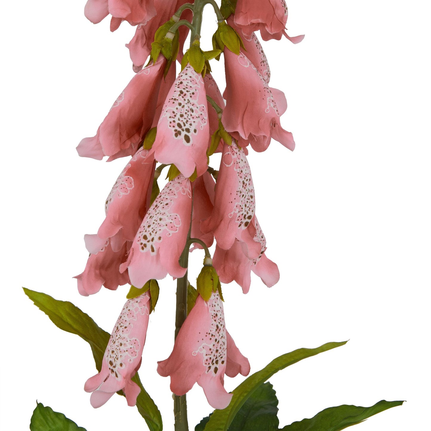 Lund Natural Garden Collection Pale Pink Foxglove