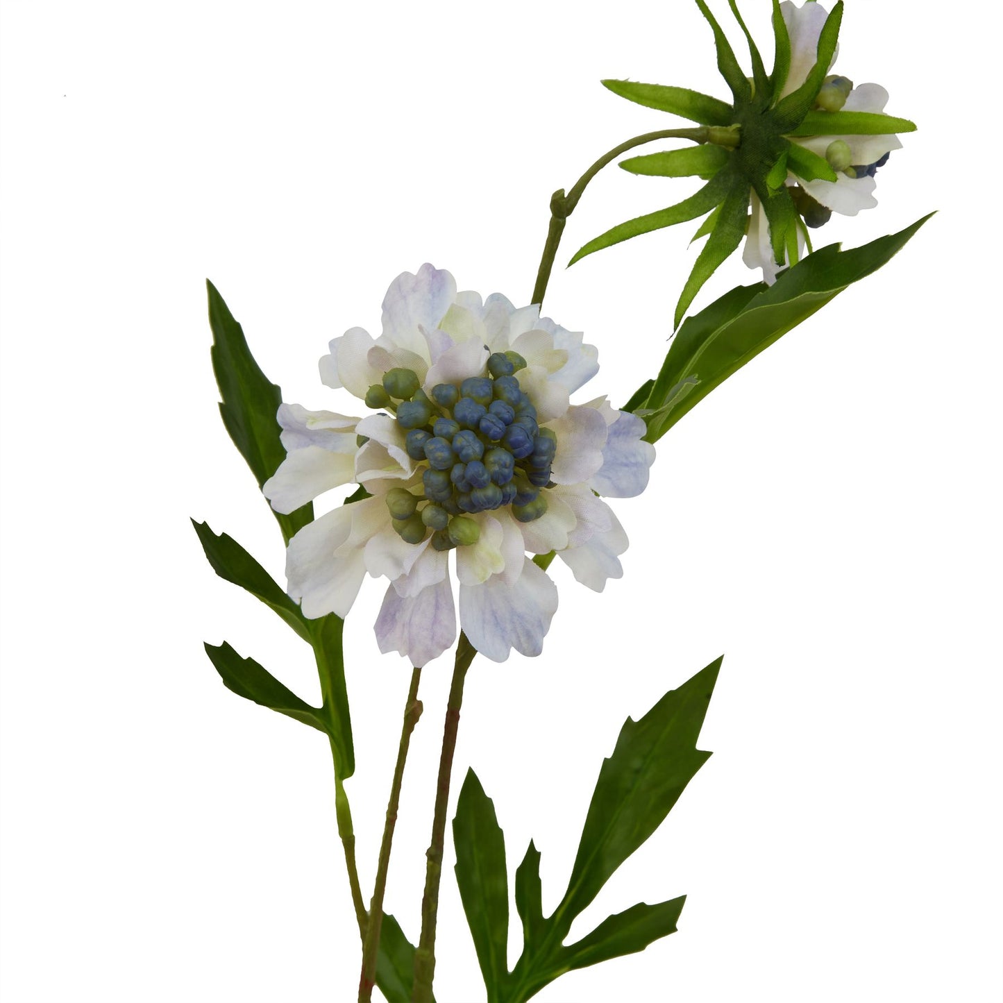 Skandi London Pale Blue Scabious Stem - Skandi London