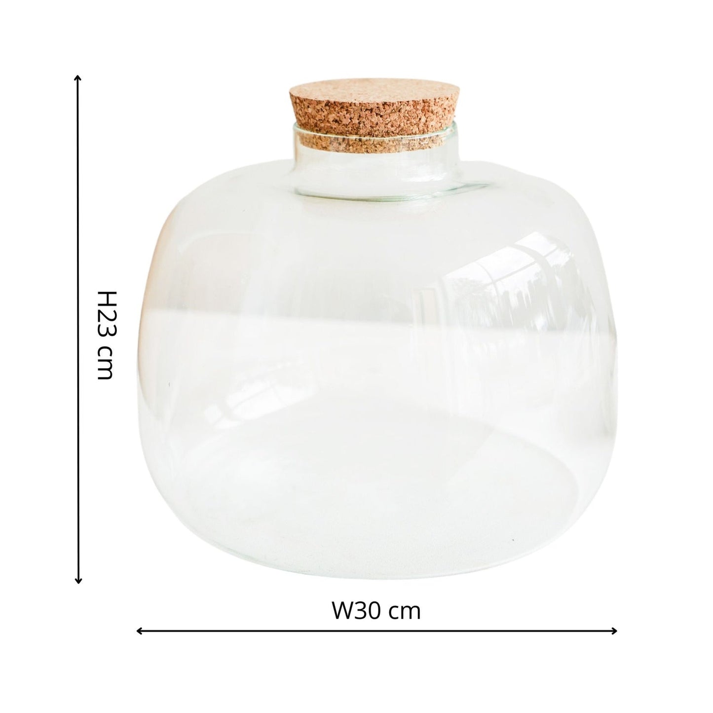 Asker Bowl Terrarium DIY Kit Large - Large - Skandi London