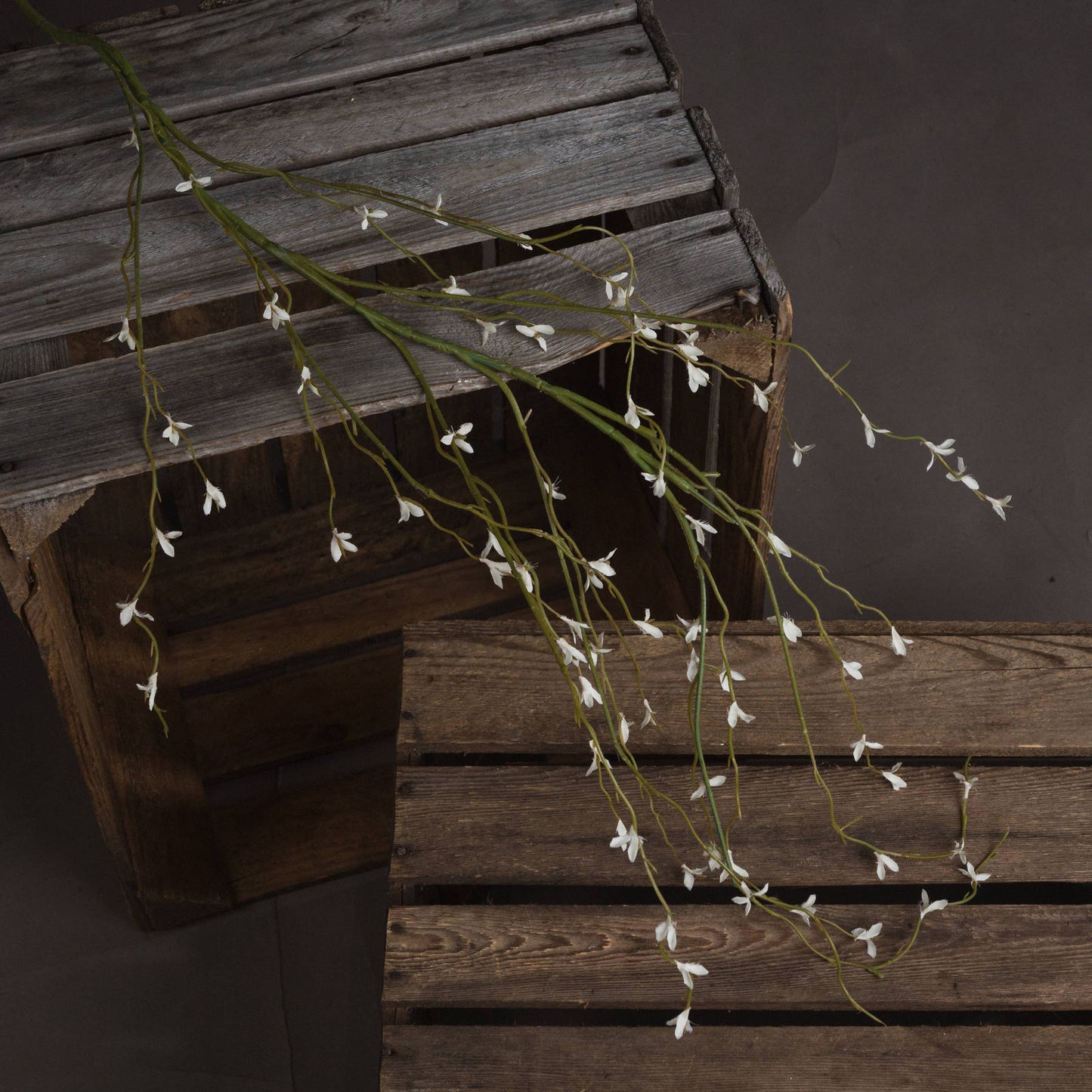 Skandi London White Willow Spray - Skandi London