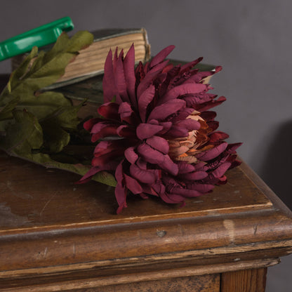 Skandi London Autumn Spider Chrysanthemum - Skandi London
