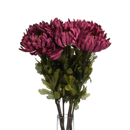 Skandi London Autumn Spider Chrysanthemum - Skandi London