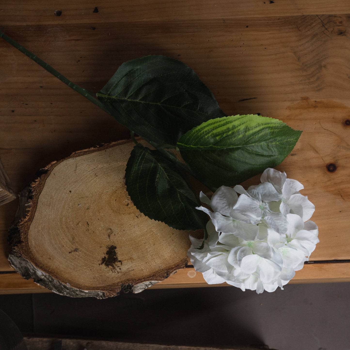 Skandi London White Small Head Hydrangea