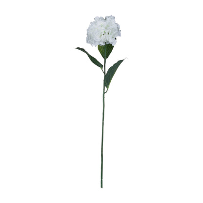 Skandi London White Small Head Hydrangea