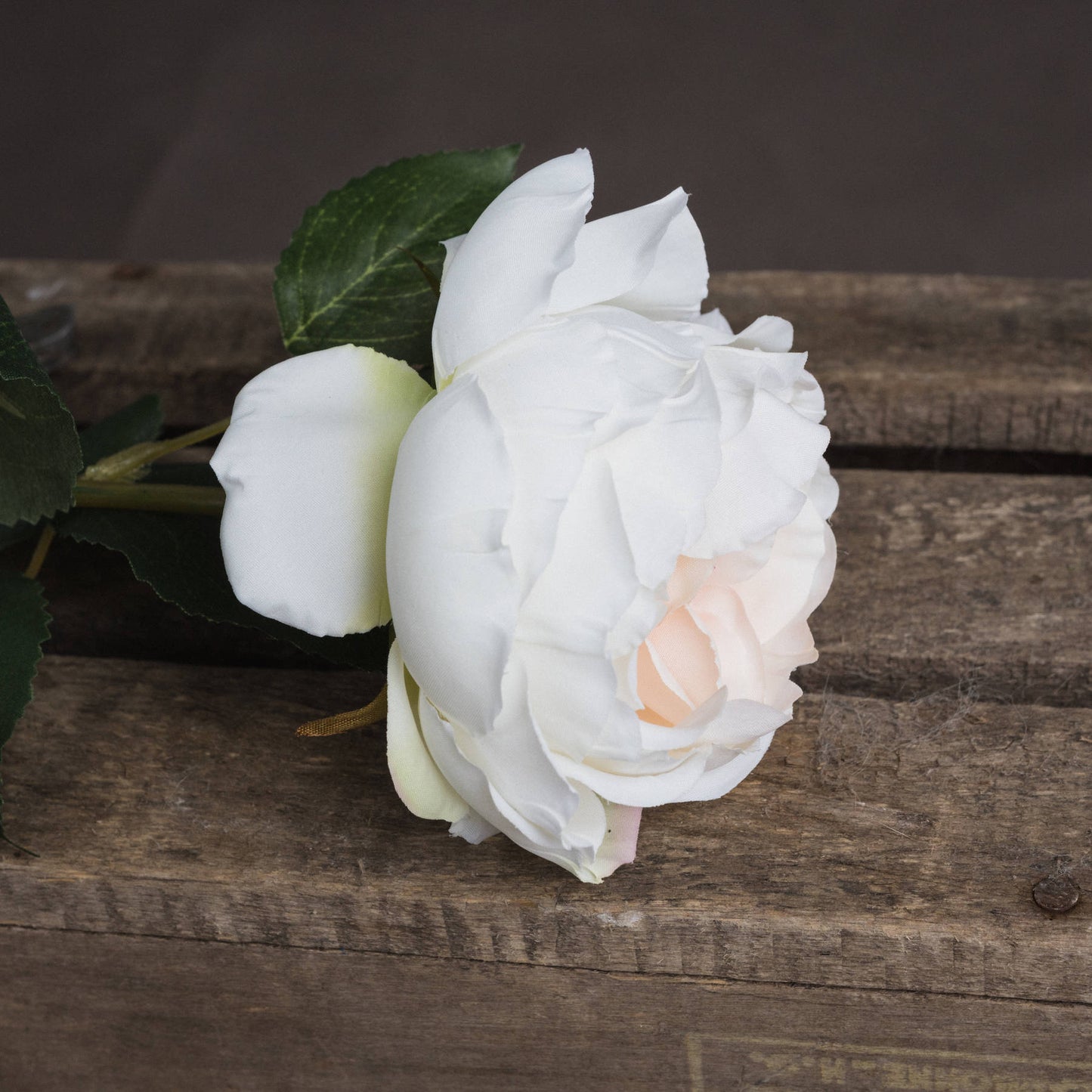 Skandi London Blush Garden Rose - Skandi London