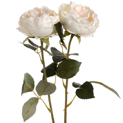 Skandi London Blush Garden Rose - Skandi London