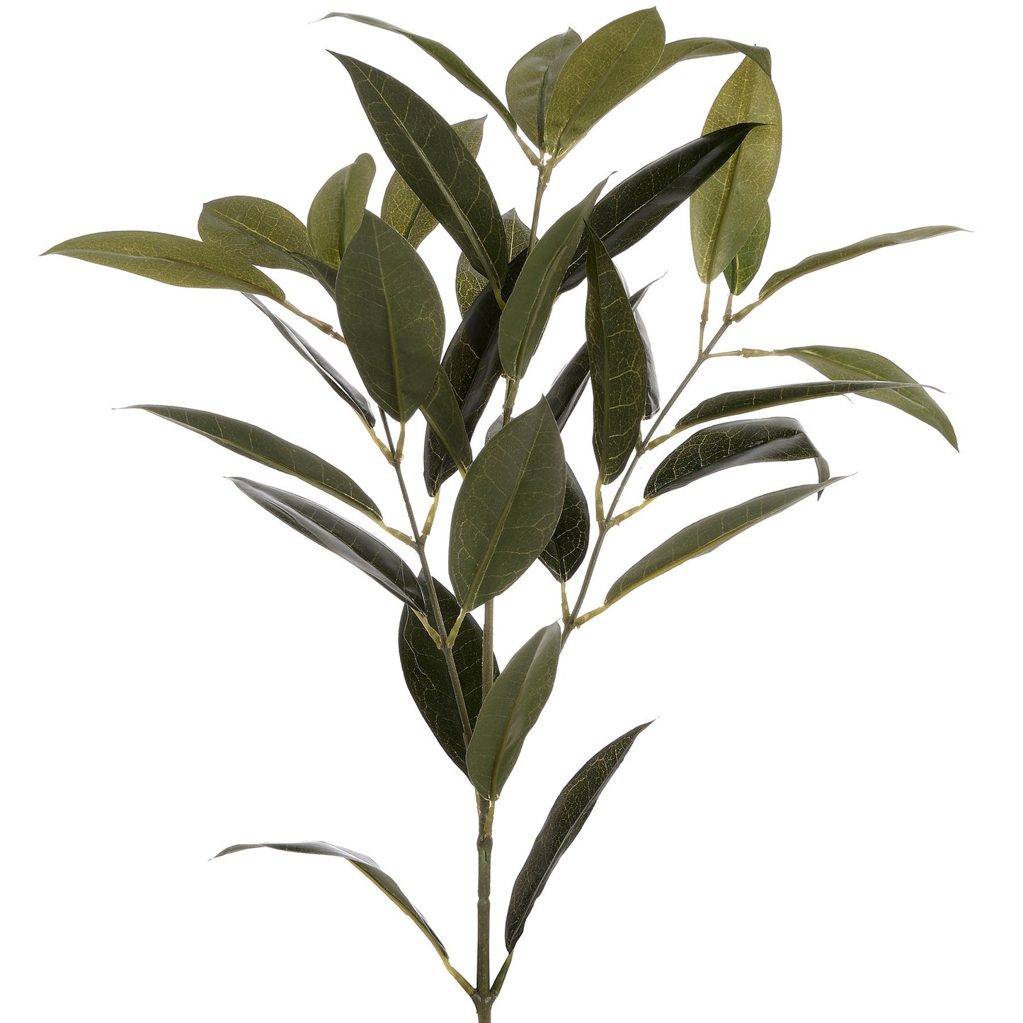 Skandi London Faux Bay Leaf Spray