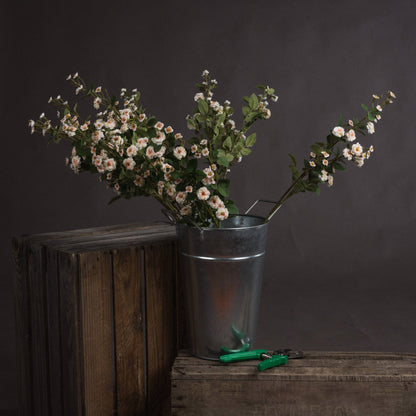 Skandi London Cream Wild Meadow Rose - Skandi London