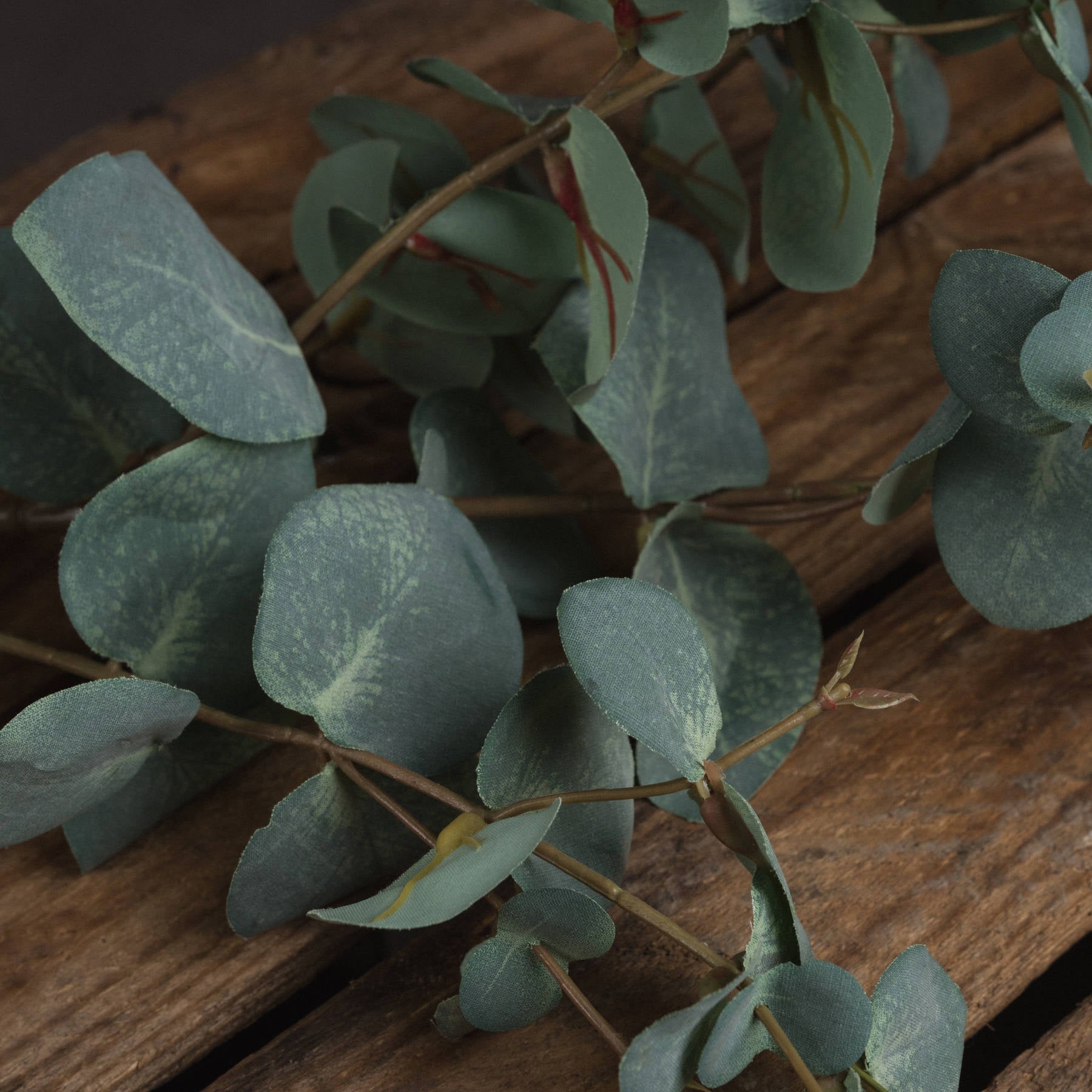 Skandi London Variegated Eucalyptus - Skandi London