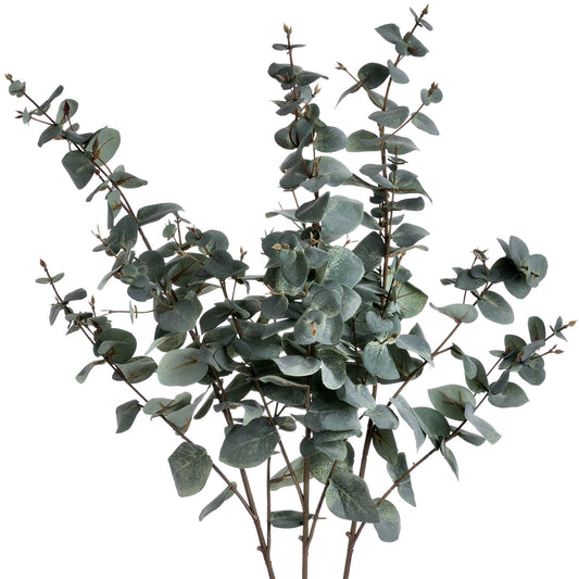 Skandi London Variegated Eucalyptus - Skandi London