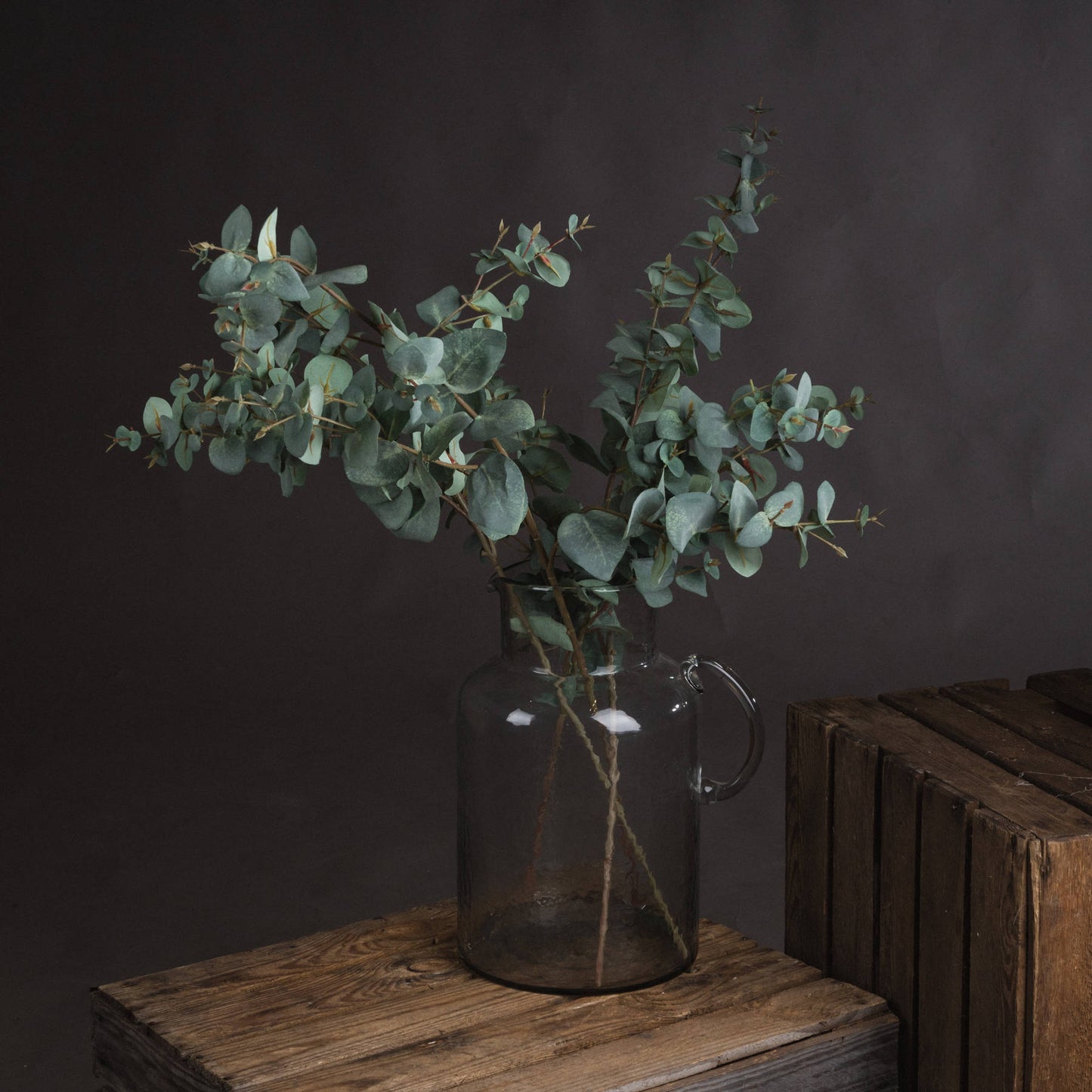 Skandi London Variegated Eucalyptus - Skandi London