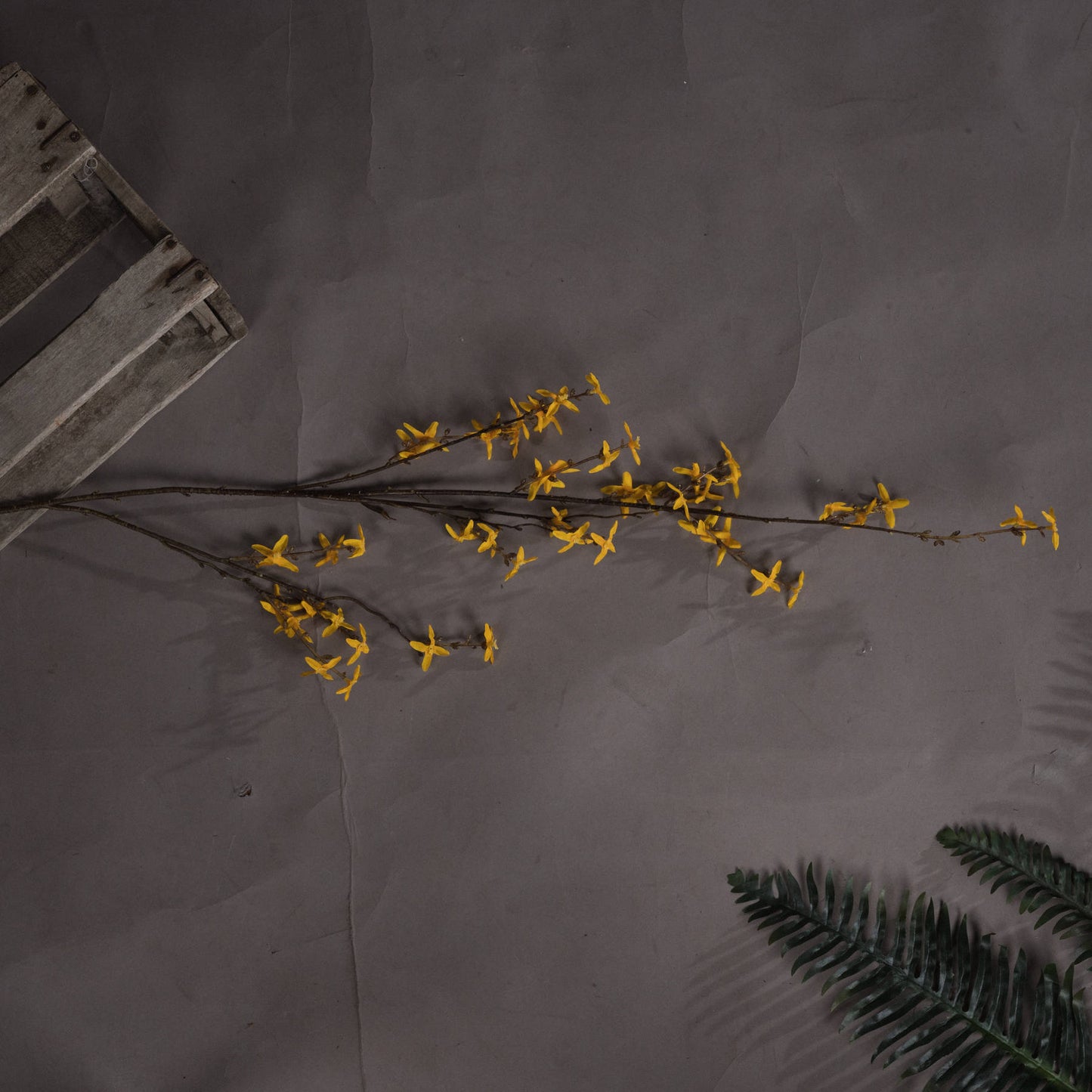 Skandi London Forsythia