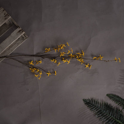 Skandi London Forsythia