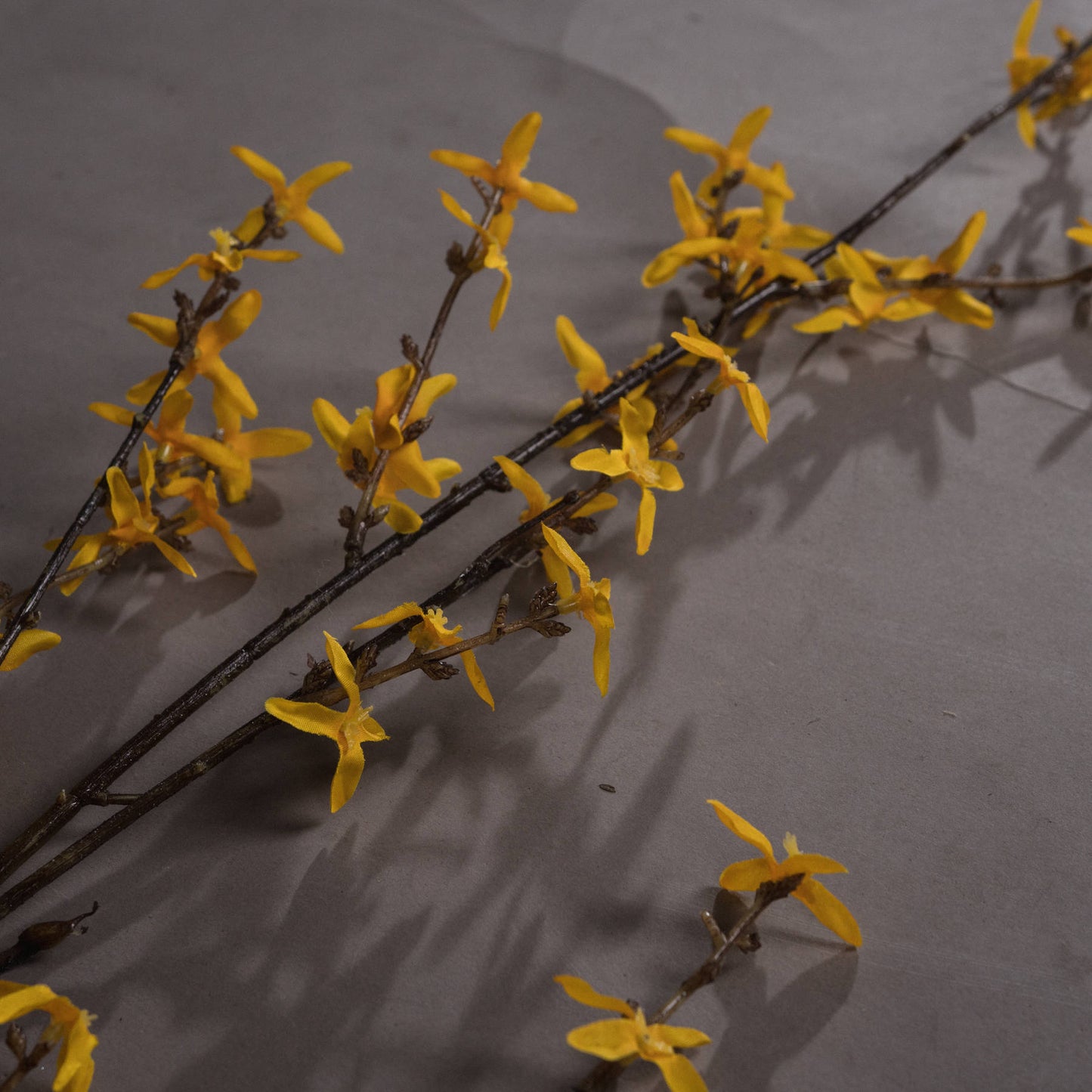 Skandi London Forsythia