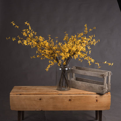 Skandi London Forsythia
