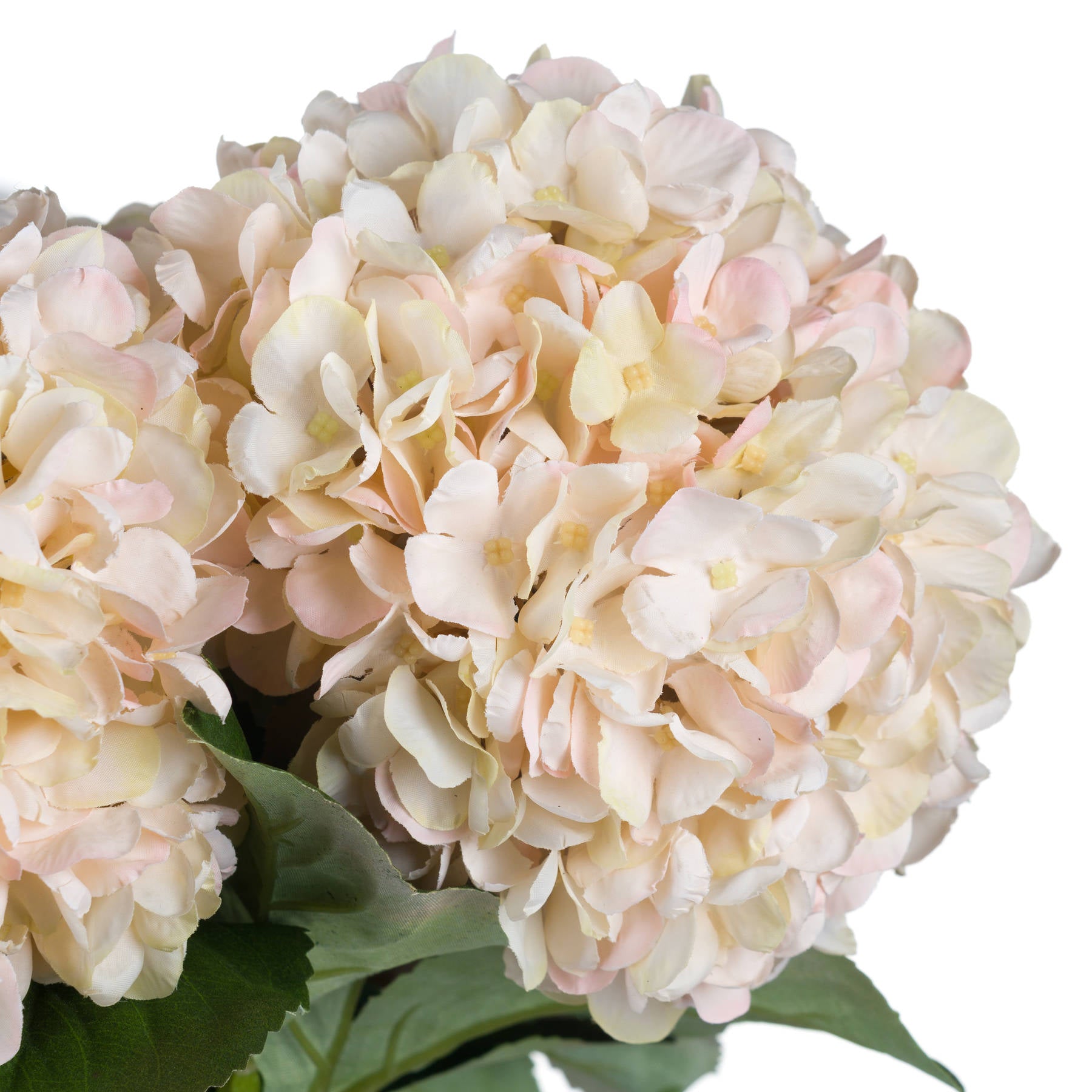 Skandi London Autumn White Hydrangea - Skandi London
