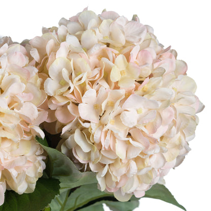 Skandi London Autumn White Hydrangea - Skandi London