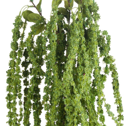 Skandi London Green Amaranthus - Skandi London