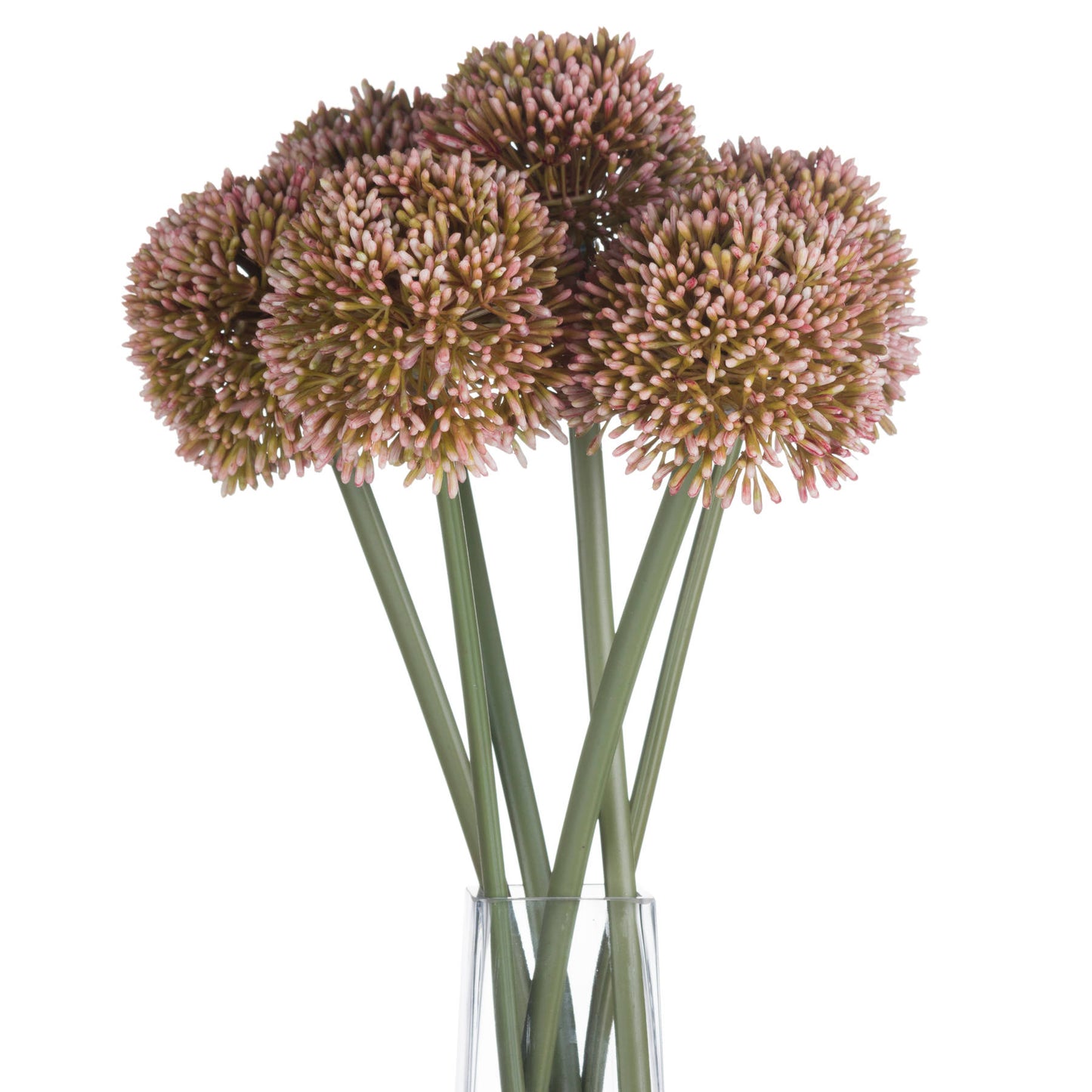 Skandi London Pink Allium - Skandi London