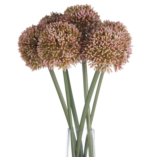 Skandi London Pink Allium - Skandi London