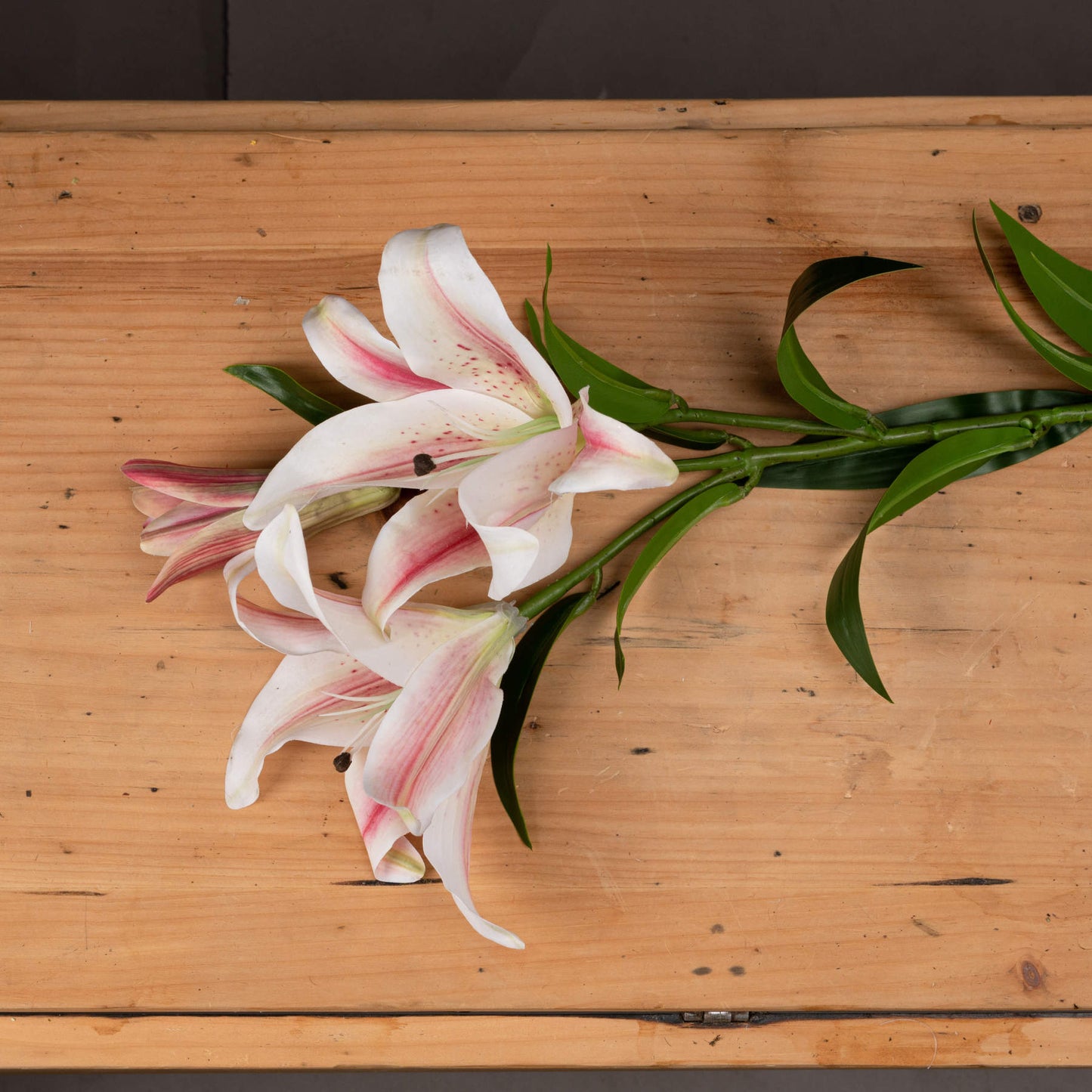 Skandi London Stargazer Lily - Skandi London