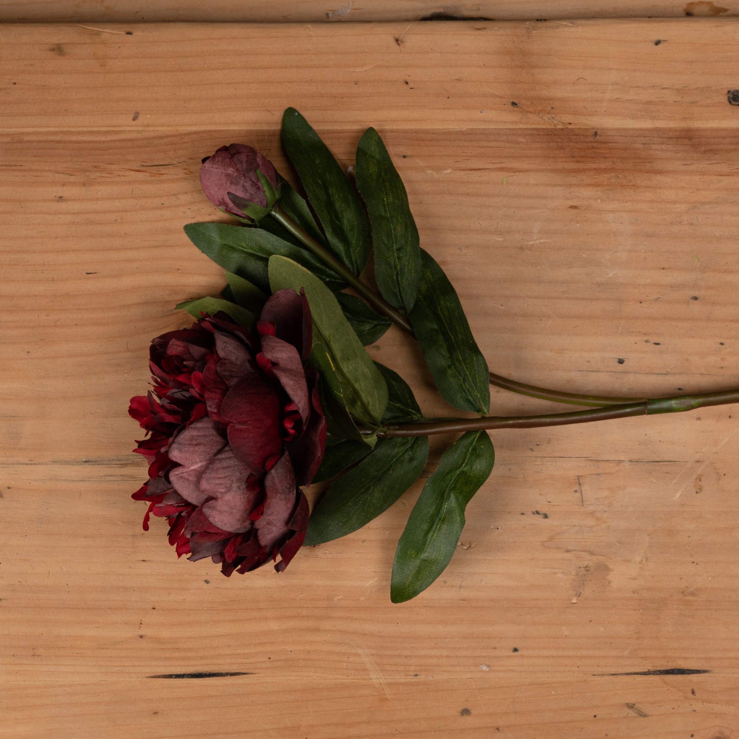 Skandi London Burgundy Peony Rose