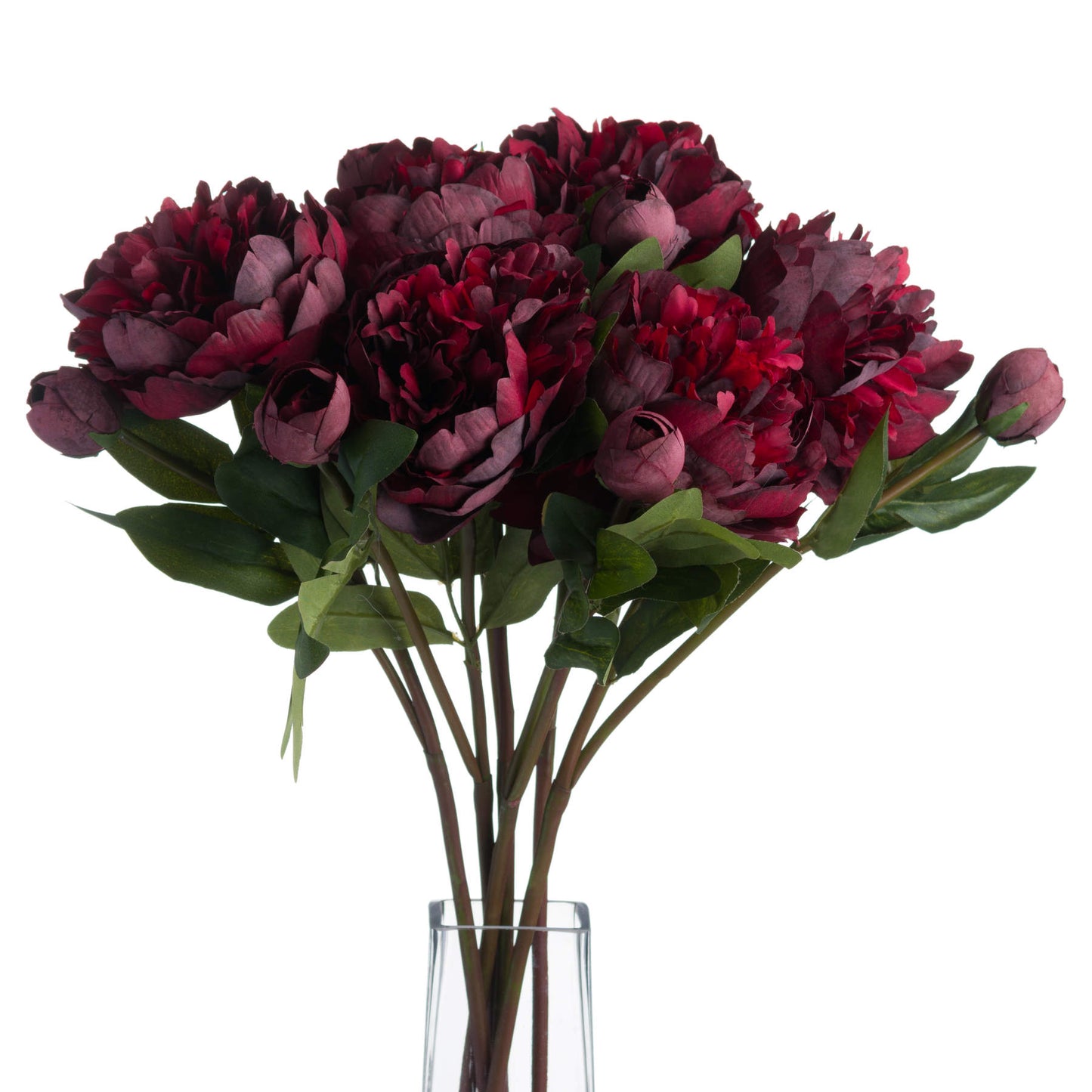 Skandi London Burgundy Peony Rose