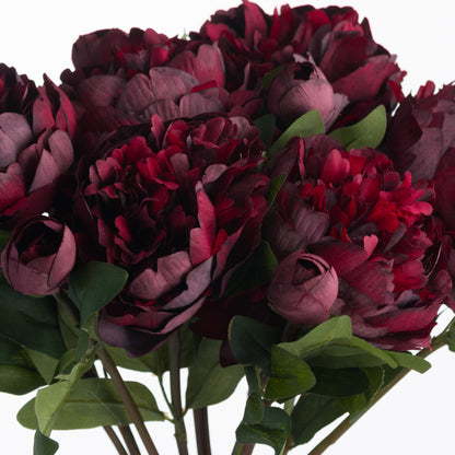 Skandi London Burgundy Peony Rose