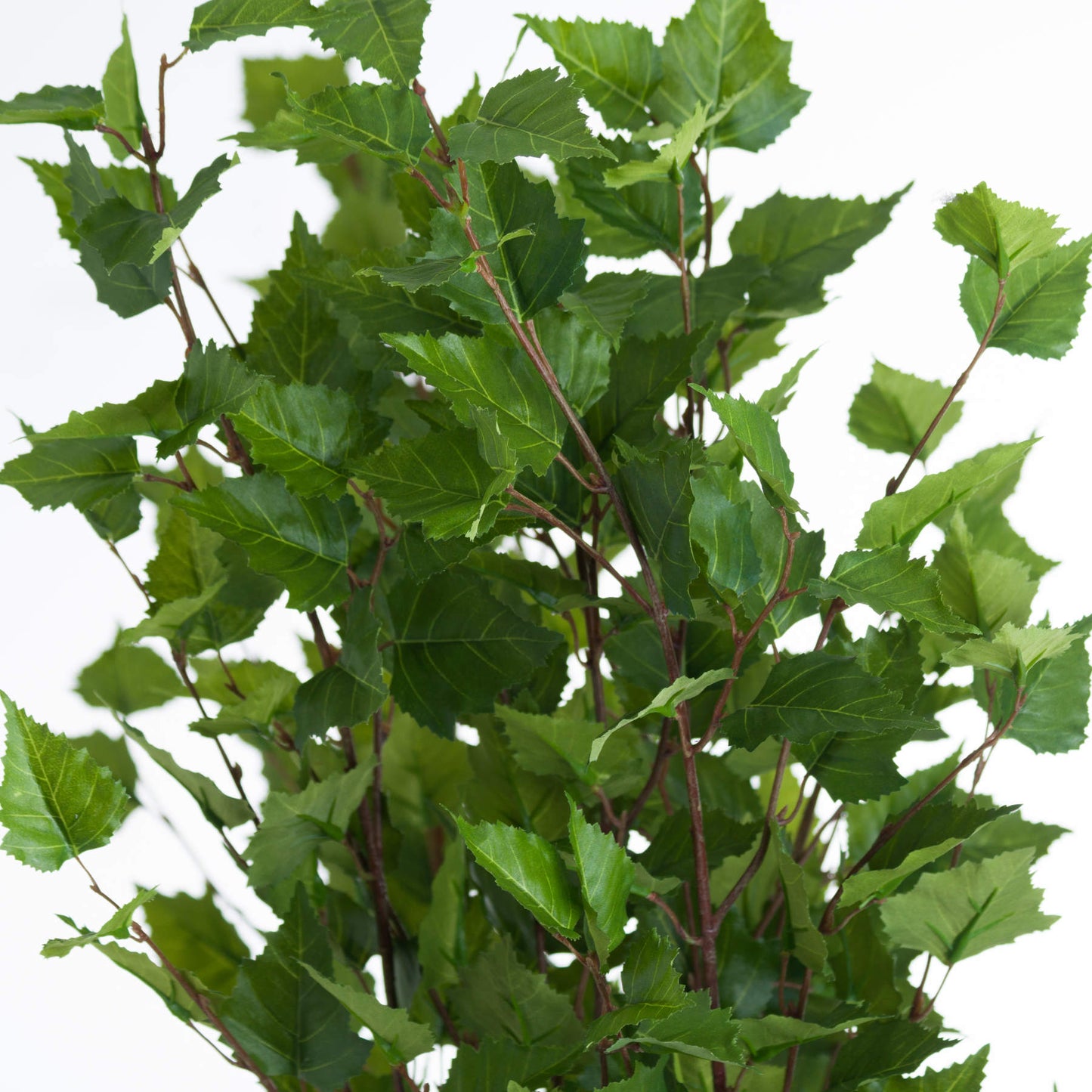 Skandi London Green Branch Spray