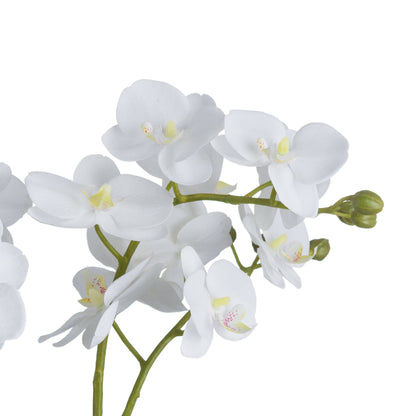 Skandi London White Orchid In Glass Pot - Skandi London