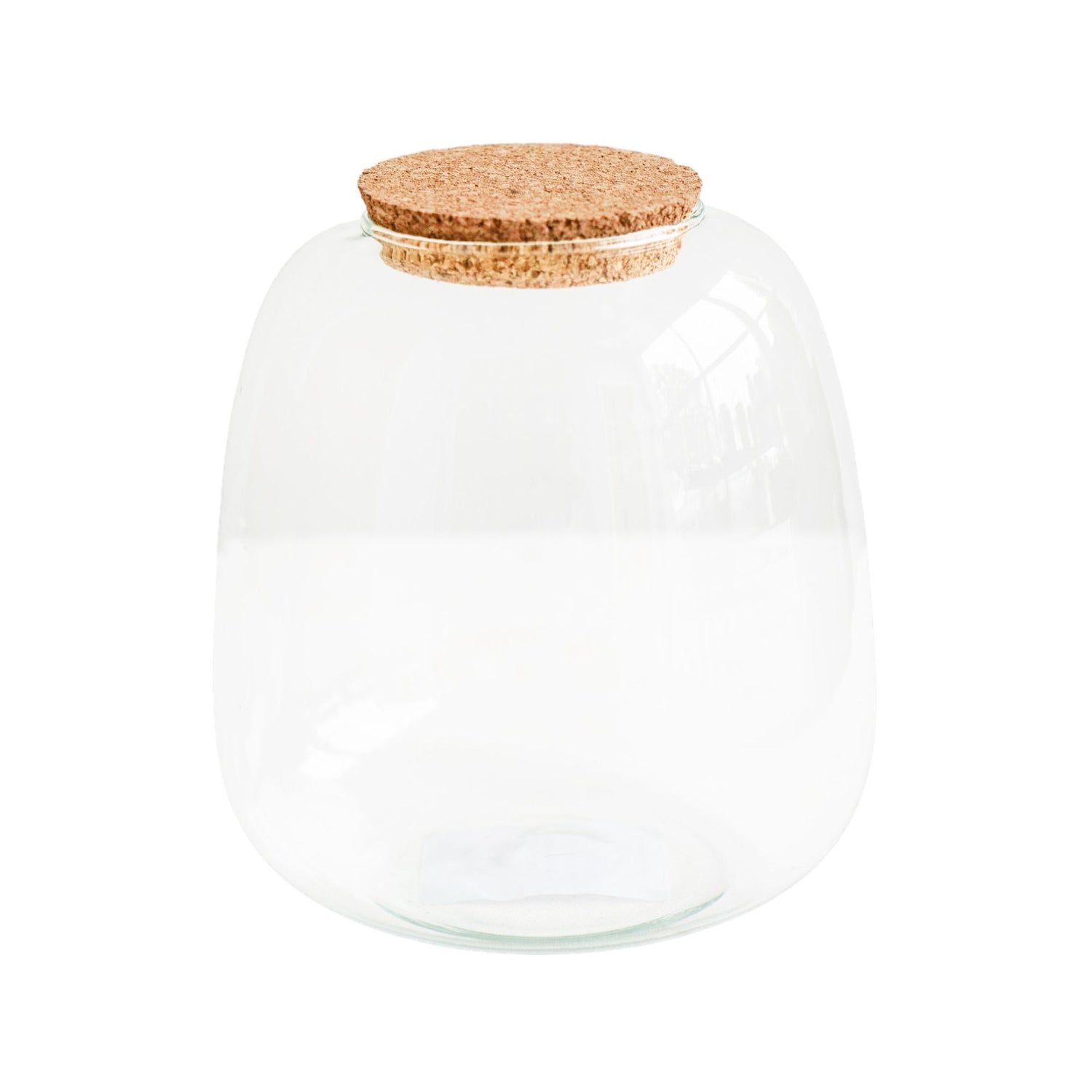 Asker Bowl Terrarium DIY Kit Medium - Medium - Skandi London