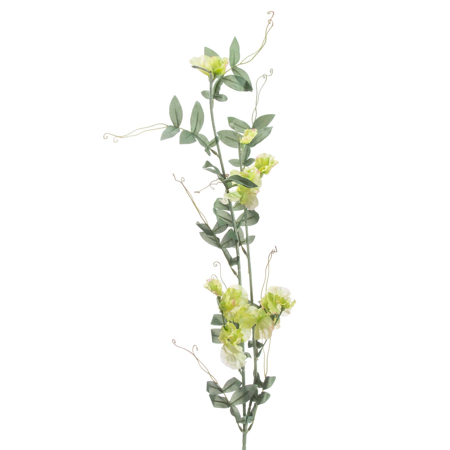 Skandi London Sweet Pea Trail - Skandi London