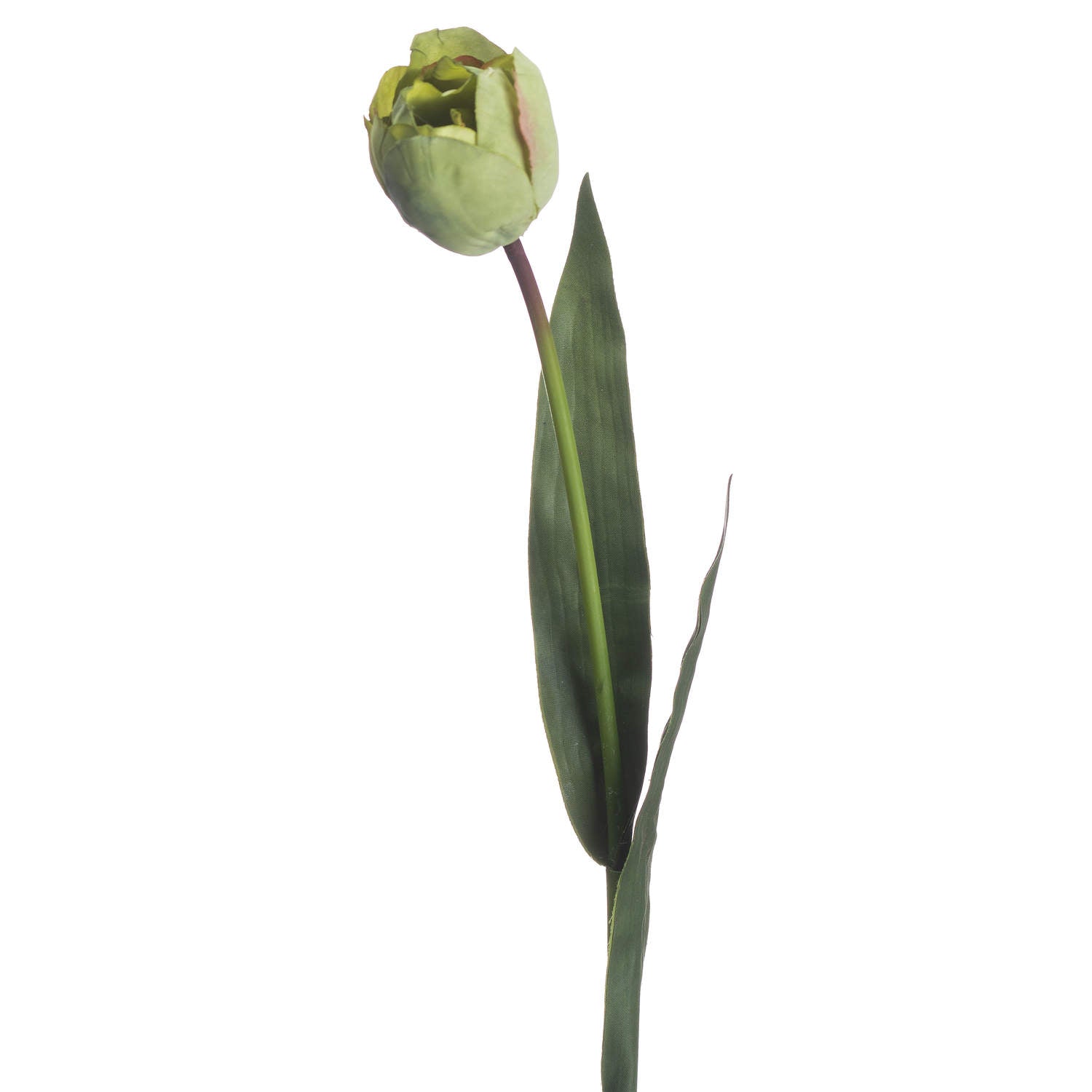 Skandi London Green Tulip - Skandi London