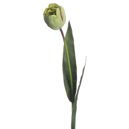 Skandi London Green Tulip - Skandi London
